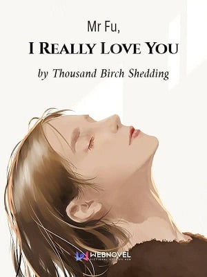 Mr Fu, I Really Love You-Novel2